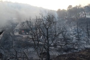 Φωτιά στην Αττική: Στάχτη σχεδόν 100.000 στρέμματα - Η δεύτερη χειρότερη πυρκαγιά σε καμένες εκτάσεις από το 2009