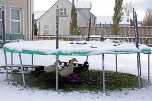 Καιρός: Με βροχές και πτώση θερμοκρασίας ξεκινά η εβδομάδα - Πού θα είναι πιο έντονα τα φαινόμενα