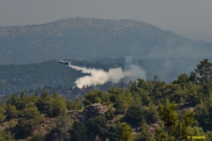 Φωτιές σε Κιλκίς και Χαλκιδική: Ισχυρές δυνάμεις δίνουν μάχη με τις φλόγες