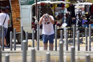 Χανιά - Μια τελείως ασυνήθιστη επέμβαση ναυαγοσώστη: Έσωσε γεράκι στην Κυανή Ακτή [εικόνες] - εικόνα 2