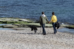 Καιρός: Ηπιο φθινοπωρινό σκηνικό τις επόμενες ημέρες - Πού θα βρέξει Τετάρτη και Πέμπτη - Πώς θα κινηθεί η θερμοκρασία