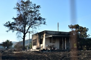 Παλαιά Φώκαια: Προανάκριση για τα αίτια της φωτιάς - Ανοικτό το ενδεχόμενο να προκλήθηκε από καλώδιο του ΔΕΔΔΗΕ - εικόνα 2