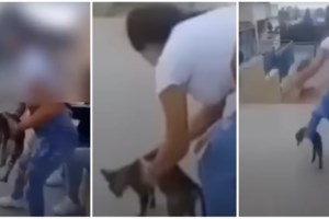 Βίντεο ντοκουμέντο: Η στιγμή που ο Μπέος χτυπά με μπουνιές μοτοσικλετιστή στη μέση του δρόμου - "Ξέρεις που μιλάς ρε;"