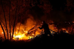 Πυρκαγιά στη Μεσσηνία: Σε εξέλιξη αλλά με καλύτερη εικόνα - Εστάλη μήνυμα 112