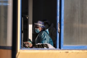 Ένα... ζωηρό κουνάβι προκάλεσε… black out τα ξημερώματα στα Τρίκαλα