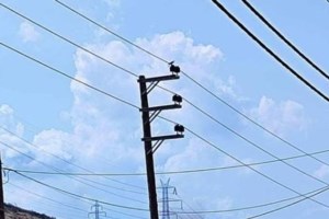 Πυρκαγιά στην Κρηνίδα Σερρών: Διάσπαρτες εστίες καίνε σε έκταση χαμηλής βλάστησης