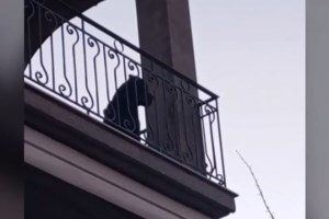 Αποκάλυψη: Φέρνουν ζητιάνους από Βουλγαρία και Ρουμανία - Τους εφοδιάζουν με σκυλιά για να συγκινούν τον κόσμο