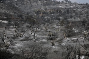 Φωτιά στην Εύβοια: Πύρινη κόλαση στα Βασιλικά - Οι φλόγες έχουν μπει στον οικισμό -Εκκενώνονται και άλλα χωριά