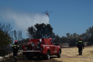 Έσβησε η φωτιά στην Κεφαλονιά: Έγκαιρη η επέμβαση της Πυροσβεστικής