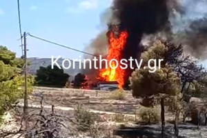 Φωτιά στα Δερβενοχώρια: Εκκενώθηκε το χωριό Λεύκα - Τρίτη μέρα σκληρής μάχης για να μην περάσουν οι φλόγες στην Πάρνηθα - εικόνα 5