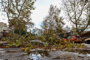 Στην Καλαμαριά δεν έχουν ρεύμα επί 6 ημέρες- Κατέθεσαν μήνυση στον ΔΕΔΔΗΕ - εικόνα 2
