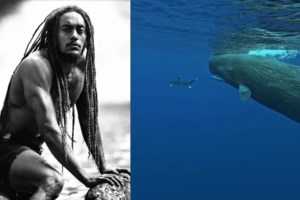 Μια φάλαινα... χαλαρή και ανενόχλητη κολυμπάει στο λιμάνι του Σίδνεϊ ανάμεσα σε πλοία [βίντεο]