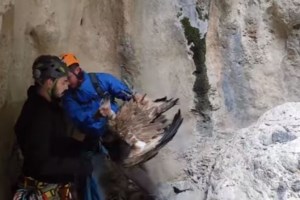 Λεωνίδιο: Νεκρός 40χρονος Γάλλος ορειβάτης κατά τη διάρκεια αναρρίχησης [βίντεο]