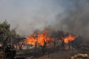Ζέστη με θερμοκρασίες μέχρι 36 βαθμούς- Ισχυροί βοριάδες και κίνδυνος πυρκαγιάς - εικόνα 2