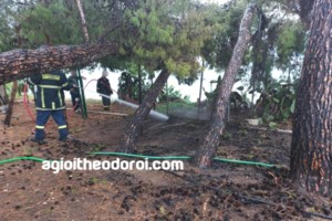 Καταιγίδα στην Εύβοια: Ποτάμια οι δρόμοι από τη βροχή στο Βασιλικό [βίντεο]