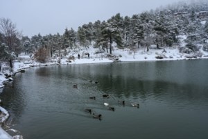 Κακοκαιρία Avgi: Πού θα χτυπήσει τις επόμενες ώρες - Μπόρες χιονόνερου την Τετάρτη στην Αττική - εικόνα 4