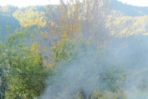 Πλατανούλια Τυρνάβου: Κτηνοτρόφος χτύπησε με γκλίτσα τον πρόεδρο της κοινότητας και υπαλλήλους της Πολεοδομίας