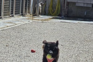 Η Λου: Εμάς αυτά τα κορίτσια τα τσουπωτά, με τη γούνα τη διπλή, τριπλή, την αναρχική, μάς αρέσουν πάρα μα πάρα πολύ