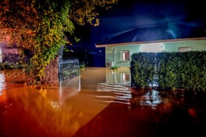 Κακοκαιρία: Προβλήματα σε περιοχές των Λεχαινών και της Βάρδας - Επεσαν δέντρα, χείμαρροι "κατέβασαν" φερτά