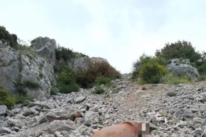 Αποτροπιασμός στη Χαλκίδα: Άλογο βασανίστηκε μέχρι θανάτου - Ήταν δεμένο με αλυσίδα και σχοινί