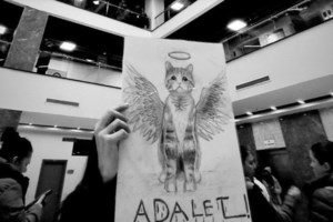 Φρίκη στην Αγγλία: Λαθροκυνηγοί σκορπίζουν δεκάδες πτώματα ζώων σε δρόμους και καταστήματα - εικόνα 3