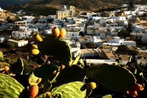 Κίμωλος: "Μόλις έπιασε το τηλέφωνο του μπάνιου, τελείωσε" λέει συγγενής του 17χρονου - Τι ανέφερε ο δήμαρχος
