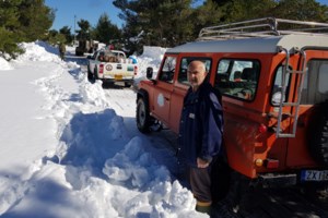 ΔΕΔΔΗΕ: Χωρίς ρεύμα 4.000 νοικοκυριά - Ποιες περιοχές παραμένουν στο σκοτάδι για 4η μέρα - εικόνα 3