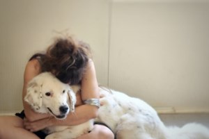 Ζώα συναισθηματικής στήριξης: Σύμμαχοι στην υγεία και την ψυχολογία μας - Πώς μας βοηθούν - εικόνα 2