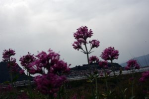 Καιρός - Προειδοποίηση Μαρουσάκη: Μετά τη ζέστη έρχονται κρύο και χιόνια [βίντεο]