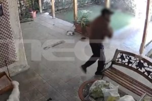 Χρήσιμες συμβουλές για όλα όσα πρέπει να προσέχουμε στη βόλτα με τον σκύλο μας