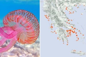 Αυτοί είναι οι πιο δημοφιλείς προορισμοί κοντά στην Αθήνα - Διακοπές με εύκολη πρόσβαση