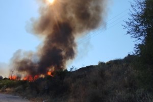 Πυροσβεστική: 32 αγροτοδασικές πυρκαγιές το τελευταίο 24ωρο σε όλη τη χώρα