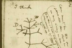 Ρήμαζαν τις θυρίδες - Στο εδώλιο άλλοι τέσσερις τραπεζικοί υπάλληλοι - εικόνα 2