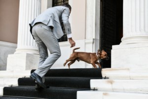 Στην τριμερή Σύνοδο Κορυφής Ελλάδας - Κύπρου - Ιορδανίας ο Κυριάκος Μητσοτάκης - εικόνα 2