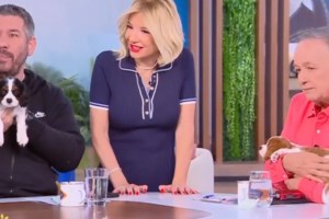 Ο Sunny κλείνει τα μάτια του και ονειρεύεται μια καλύτερη ζωή
