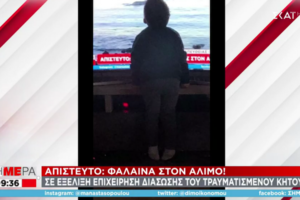 Τι είναι ο ζιφιός: Tο σπάνιο προστατευόμενο είδος φάλαινας που εντοπίστηκε στην παραλία του Αλίμου [εικόνες] - εικόνα 2