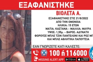 Χαμόγελο του Παιδιού: Δυο παιδιά 2 και 9 ετών εξαφανίστηκαν στον Έβρο - Πάσχουν από σοβαρό νόσημα [εικόνες] - εικόνα 2