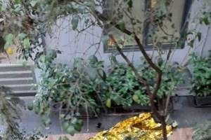 Χαλάνδρι: Αυτόπτης μάρτυρας περιγράφει την εκτέλεση του "Θαμνάκια" - "Του έφαγε τη μούρη ο κάλυκας" [βίντεο]