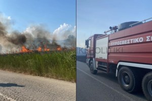 Το σχέδιο για την αντιπυρική περίοδο: Σε ετοιμότητα 14.040 πυροσβέστες, 3.654 οχήματα και 89 εναέρια μέσα