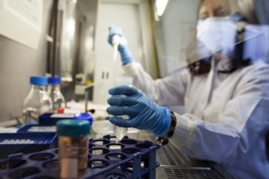 Συναγερμός στην Καραϊβική: Μετά τον χανταϊό μαζική έξαρση νοροϊού σε κρουαζιερόπλοιο με πάνω από 100 κρούσματα - εικόνα 2