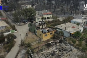 Φωτιά στη Φωκίδα: Μπουλντόζα έπεσε σε γκρεμό - Εγκλωβισμένος ο χειριστής - εικόνα 3