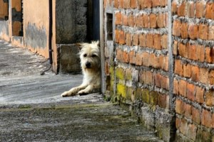 Προκαλούν οι Τούρκοι για την εισβολή στην Κύπρο: "Έγιναν απάνθρωπες σφαγές εναντίον μας από τρομοκράτες"