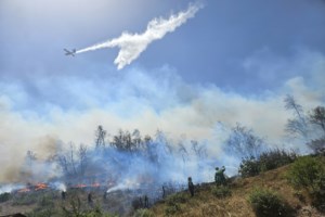 Ετσι ξεκίνησε η φωτιά στην Πάρνηθα: Η στιγμή που το drone της πυροσβεστικής "πιάνει" τον καπνό στο δάσος - Χωρίς ενεργό μέτωπο πια - εικόνα 3