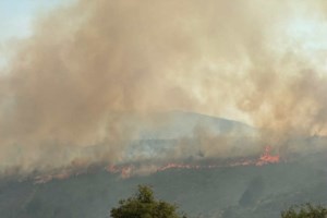 Φωτιά στο Άλσος Βεΐκου: Επιχειρεί ισχυρή δύναμη της πυροσβεστικής