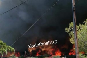 Πάτρα: Φωτιά στην περιοχή Λάππα Αχαΐας - Τουλάχιστον 4 τα μέτωπα στα όρια με την Ηλεία