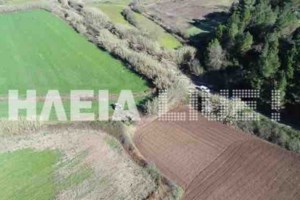 Βιασμός και ληστεία ηλικιωμένης στην Ηλεία - Ομολόγησαν οι δράστες