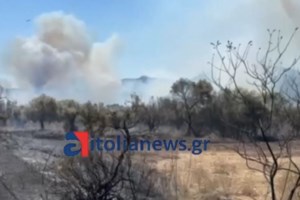 Μάχη με τις φλόγες στην Αρχαία Νεμέα, στη Βόνιτσα και τη Μεγάλη Βόλβη: Συναγερμός στην Πυροσβεστκή - εικόνα 3