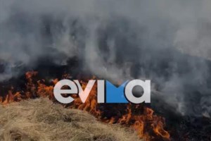 Πυροσβεστικό Σώμα: 52 δασικές πυρκαγιές το τελευταίο 24ωρο - 99 συλλήψεις το 2023 για εμπρησμούς