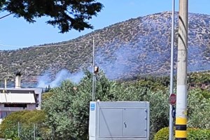 Φωτιά στην Τρίπολη: Κοντά σε σπίτια οι φλόγες, απειλείται το Μαίναλο [Εικόνες - Βίντεο]