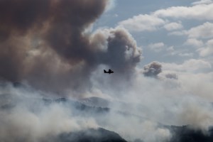 Συναγερμός στην Πυροσβεστική: Σε εξέλιξη η φωτιά στον Κάλαμο - Έσβησαν τα μέτωπα σε Πάρνηθα και Διόνυσο - εικόνα 2